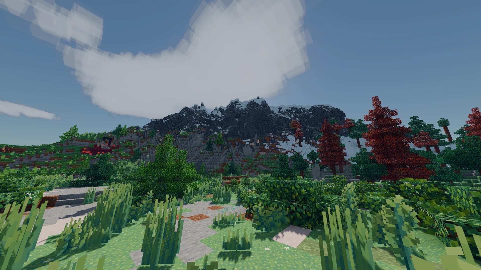 Slideshow Background